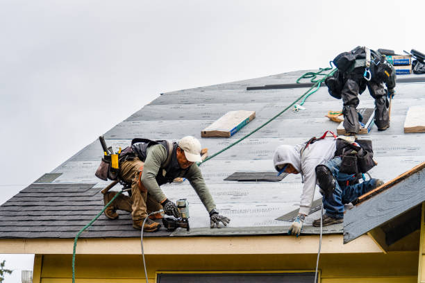 Professional Roofing technician working in North Marshfield, MA